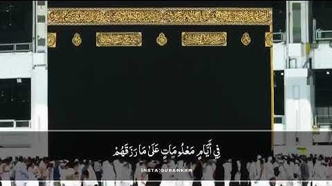 آيات من سورة الحج للقارئ سعد الغامدي