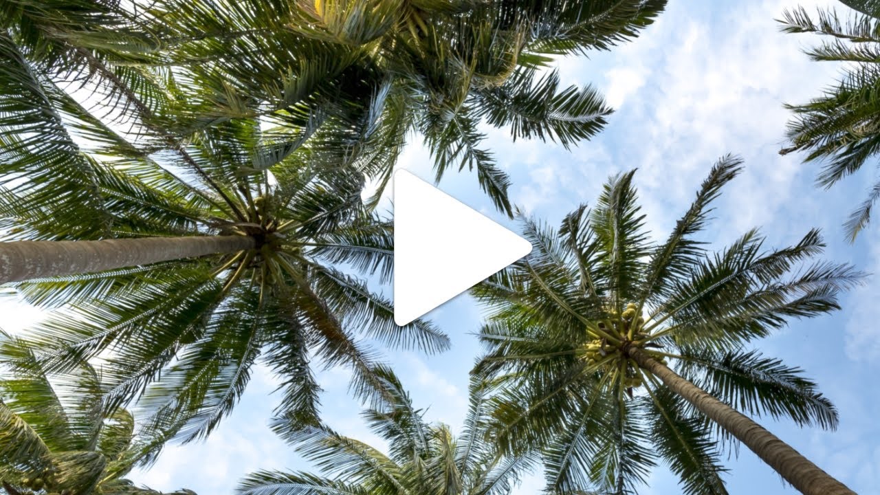 Island - Ibiza Summer Tropical Deep House Music by AudioCopper