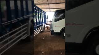 Pengambilan Armada Dikaroseri Jaya Dipa Dampit Indonesia