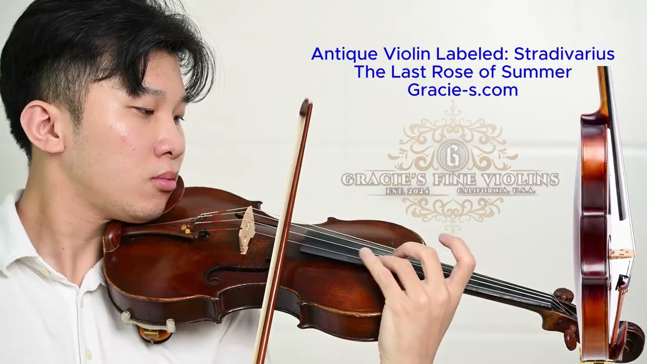 @Gracie-s.com🎻 Antique Stradivarius Copy Violin | Luthier Re-Graduated | Brilliant Tone