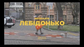 BRYKULETS - Лебідонько