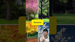 Seasons in Korean shorts kwjonathan Korean learnkorean learningkorean Koreanlanguage