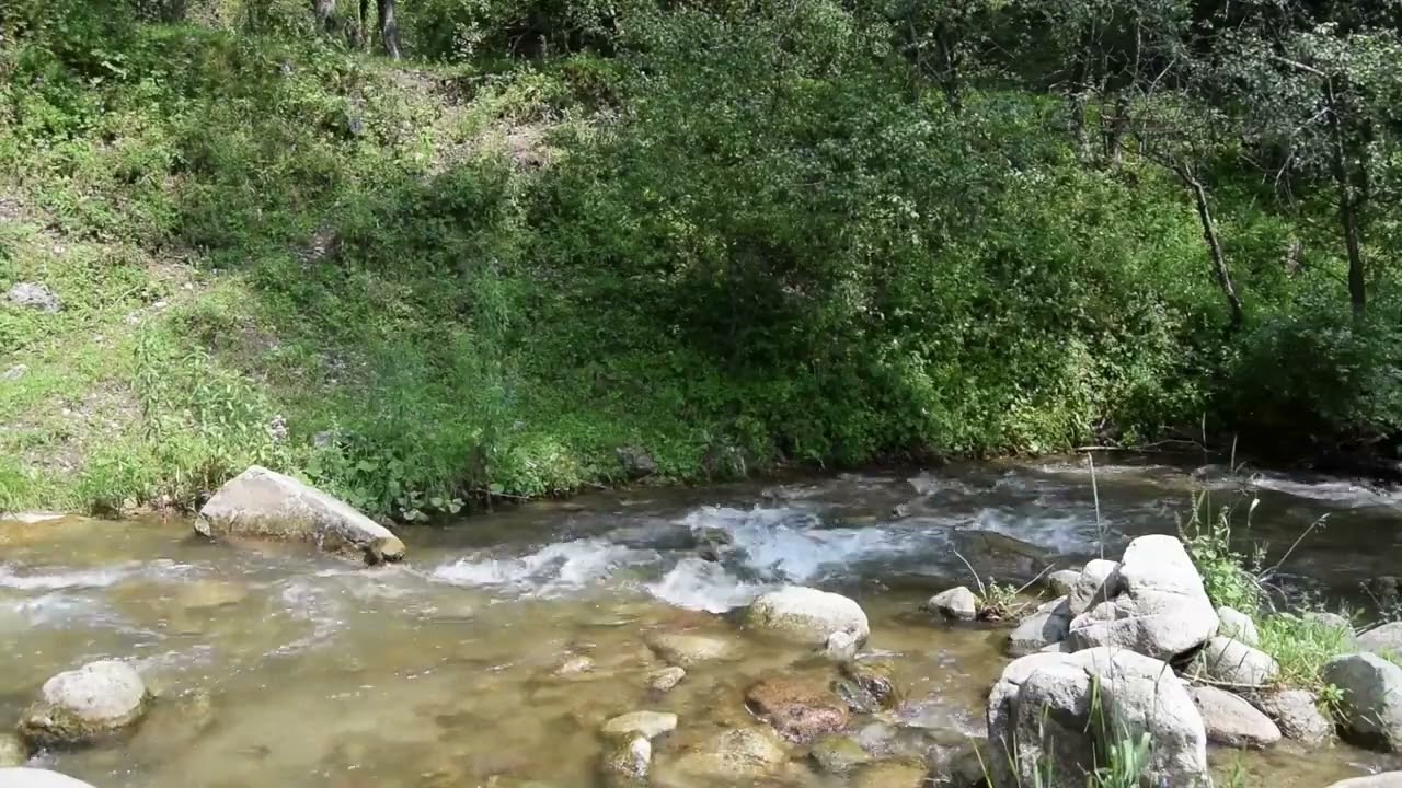 Want to Reduce Stress and Focus? Try This Relaxing Music Now