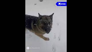 В Нескольких Районах Татарстана Выпал Снег