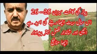 Onion farming | Onion cultivation(Pyaz ki kasht) Growing onions tips | Onion kheti