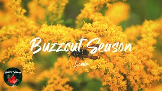 Lorde - Buzzcut Season 
