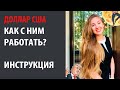 Доллар США. Инструкция как с ним работать