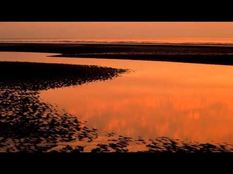Luiz Henrique - Mas Que Nada
