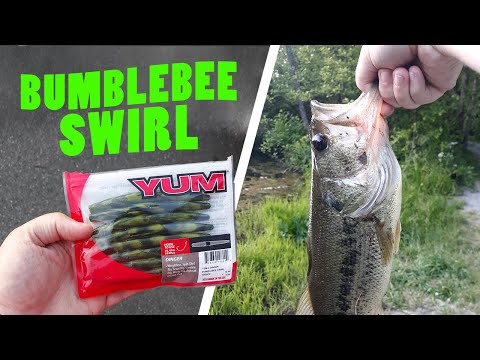 Bass Fishing with Yum Dinger-BUMBLEBEE SWIRL 