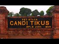 Candi Tikus dan Candi Bajang Ratu