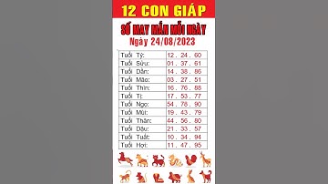 Con số may mắn ngày 24-08-2023 cho 12 con giáp #consomayman  #tuvitailoc #sansodepmoingay #trending
