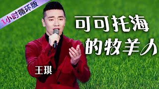 再听“亿”遍！王琪《可可托海的牧羊人》 凄美歌声催人泪下 Wang Qi : The Shepherd of Keketuohai  （一小时循环版）| 中国音乐电视 Music TV