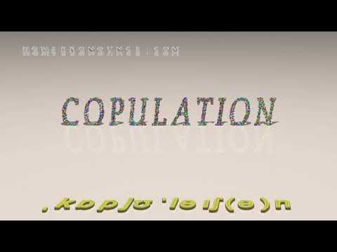 copulation - pronunciation + Examples in sentences and phrases