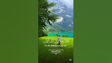 فِي جَنَّةٍ عَالِيَةٍ | القارئ عبدالرحمن مسعد حالات واتس اب🤍🫀😍