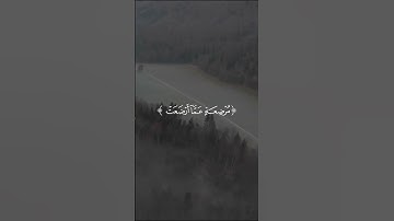 تلاوة خاشعة مع آيات مختارة من القرآن الكريم #65