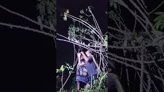 wow amazing 🦜 #birds #nature #animals #villagelife #wildlife #trending #amazing #cute #hewanunik