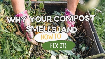 Why Your Compost Smells (And How to Fix It)