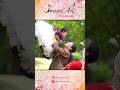 Birthday Video | Candid video | Cinematic Videography || Shorts || Imageartphotographyvizag