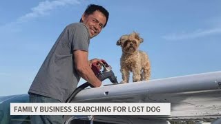 Family business in Grand Haven searching for lost dog