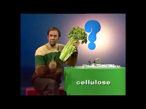 Video: Co se skládá z celulózy?