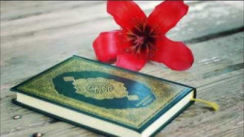 سورة الواقعه أشرف القشاش