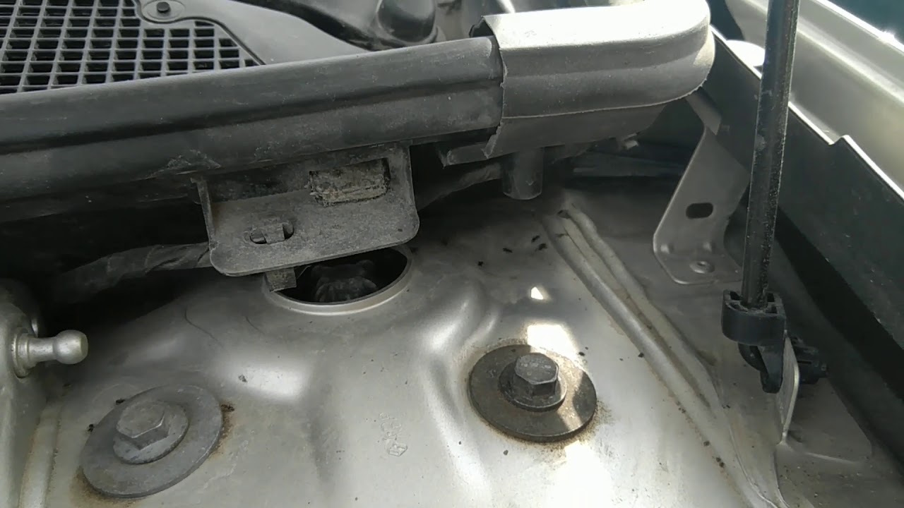 Муравьи под капотом Рено флюенс - YouTube