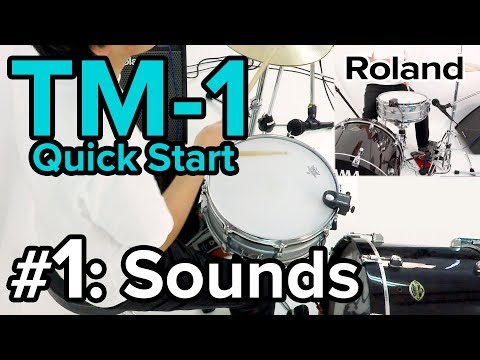 “Introducing the Sounds” Roland TM-1 #1