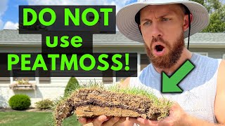 Peat Moss Killed My Lawn |Avoid This Issue|