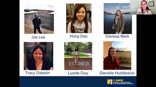 Webinar for Undeclared and Exploratory Majors