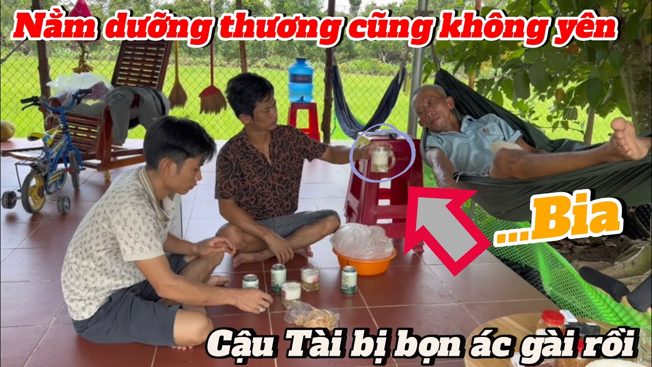 2 Con Báo nhậu trước mặt Cậu Tài và Cái Kết -Đang nằm băn bó mà cũng không yên với 2 con báo