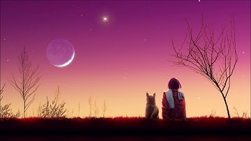 ROBIN SCHULZ & DAVID GUETTA FEAT. CHEAT CODES – SHED A LIGHT (OFFICIAL LYRIC VIDEO) Nightcore
