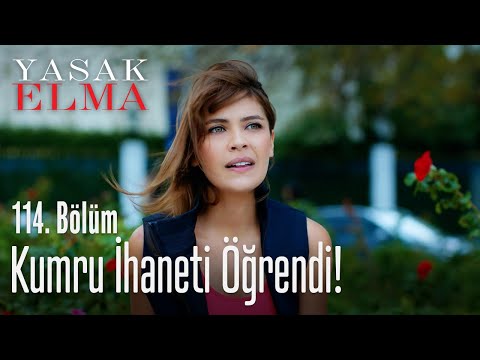 Kumru ihaneti öğrendi! - Yasak Elma 114. Bölüm