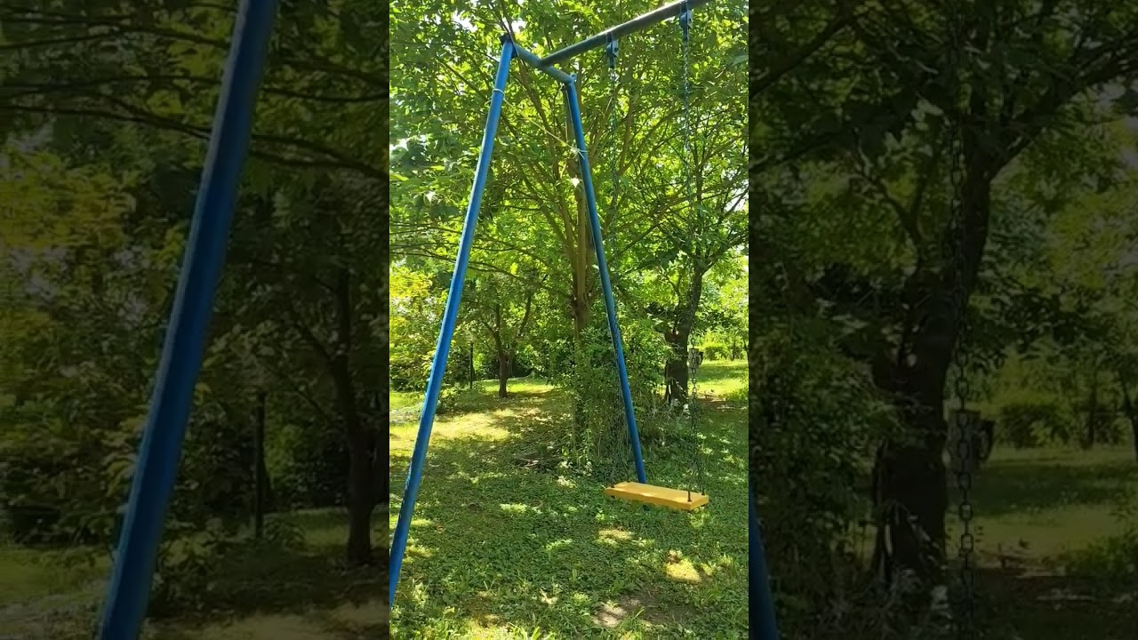 Il suono delle cicale