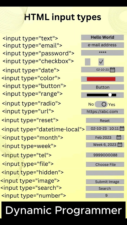 HTML Input Tags Expert with 5 Years Experience Shares Top Tips!