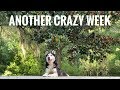 Another Crazy Week with Us! Vlog W.4