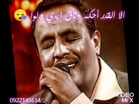 حالات واتس اب نادر خضر قلبك نوى 1