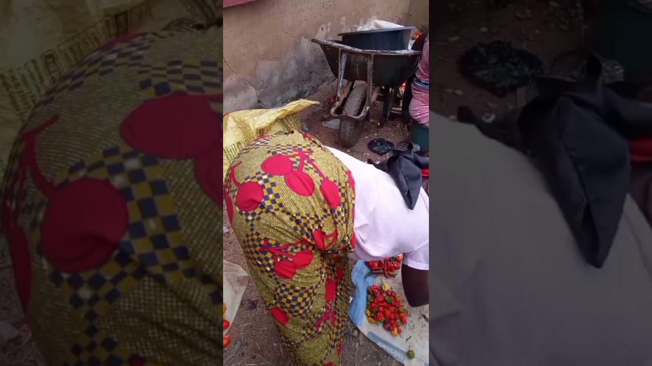 How to start a fresh tomatoes and pepper business?