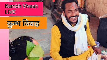 कुंभ विवाह पूजा विधि| Glimpse of Kumbh Vivah LIVE| कुंभ विवाह की प्रक्रिया और विधि क्या है|