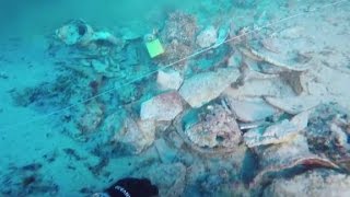 Shipwreck reveals lifestyle of ancient '1 percent'