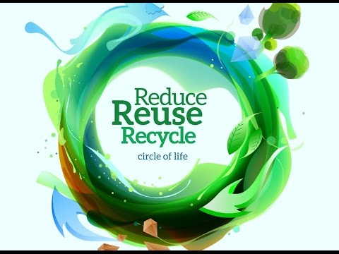 Reading IELTS: Solutions For Climate Change- Lesson 8