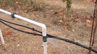 Vineyard Leases and Owner Responsibilities