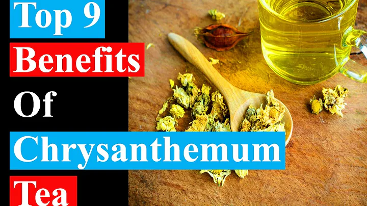 Top 9 Benefits Of Chrysanthemum Tea | Health Benefits - DayDayNews
