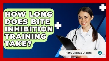 How Long Does Bite Inhibition Training Take? - PetGuide360.com