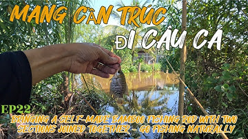 MANG CẦN TRÚC 2 KHÚC RÁP- ĐI CÂU CÁ TỰ NHIÊN. BRINGING A SELF-MADE BAMBOO FISHING ROD, GOING FISHING