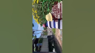 HOA CÚC ĐẠI ĐOÁ TẾT NINH GIANG VỤ 2022_2023 CÔNG TY CP SX KD HOA CÚC NINH GIANG KHÁNH HOÀ A NHÀN