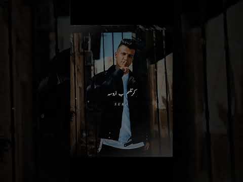 قعدة فيها كيفهم هتلاقي كلاب مرصوصه عصام صاصا