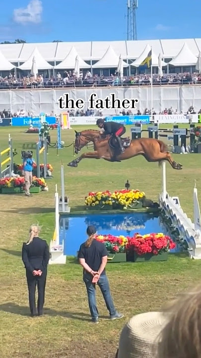  1000 aura #horse #equestrain #jump #wow #horsey #horseriding #equestrianlove #equestrianriding