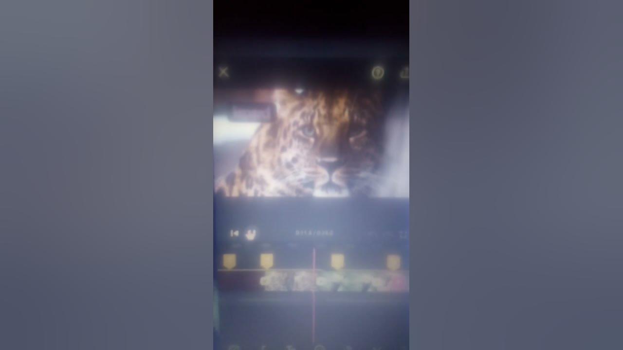 animals that will be extinct in 2025 YouTube