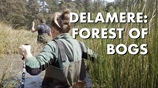 Delamere: Forest of Bogs