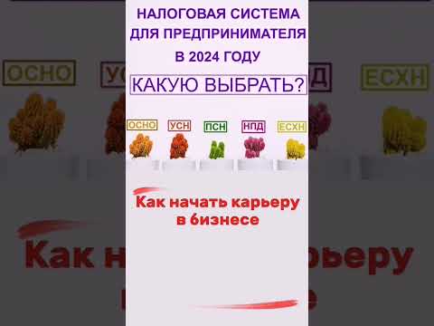 КАК ВЫБРАТЬ СИСТЕМУ НАЛОГООБЛОЖЕНИЯ В 2024 ГОДУ #бухгалтер #налоги #ип